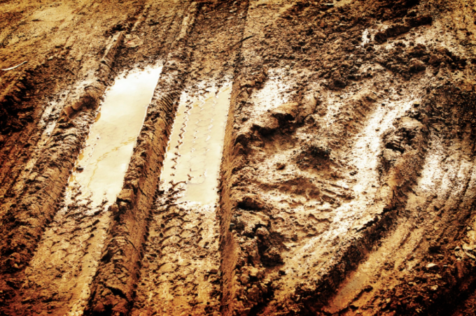 Tracks in Mud